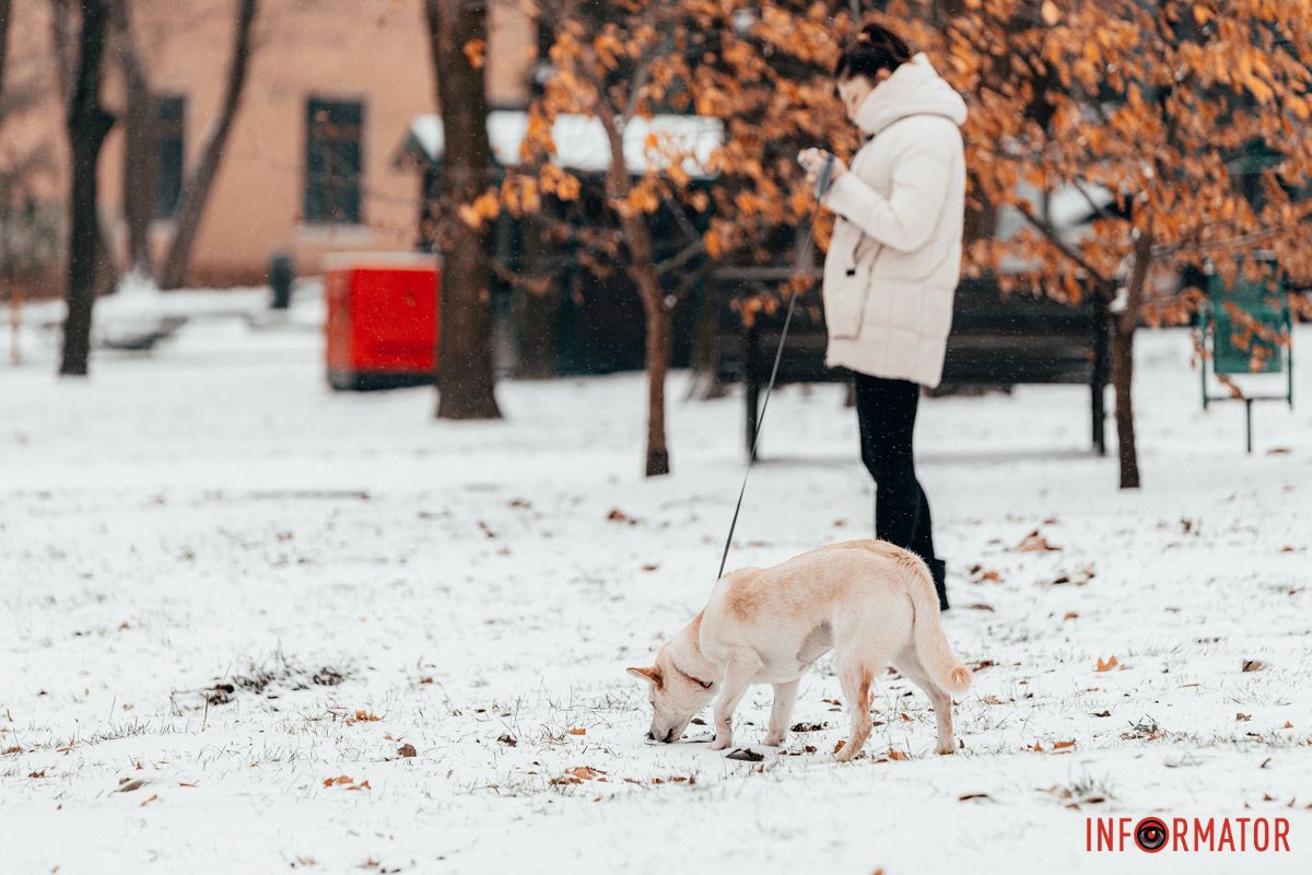 Зима огортає природу в свої обійми
