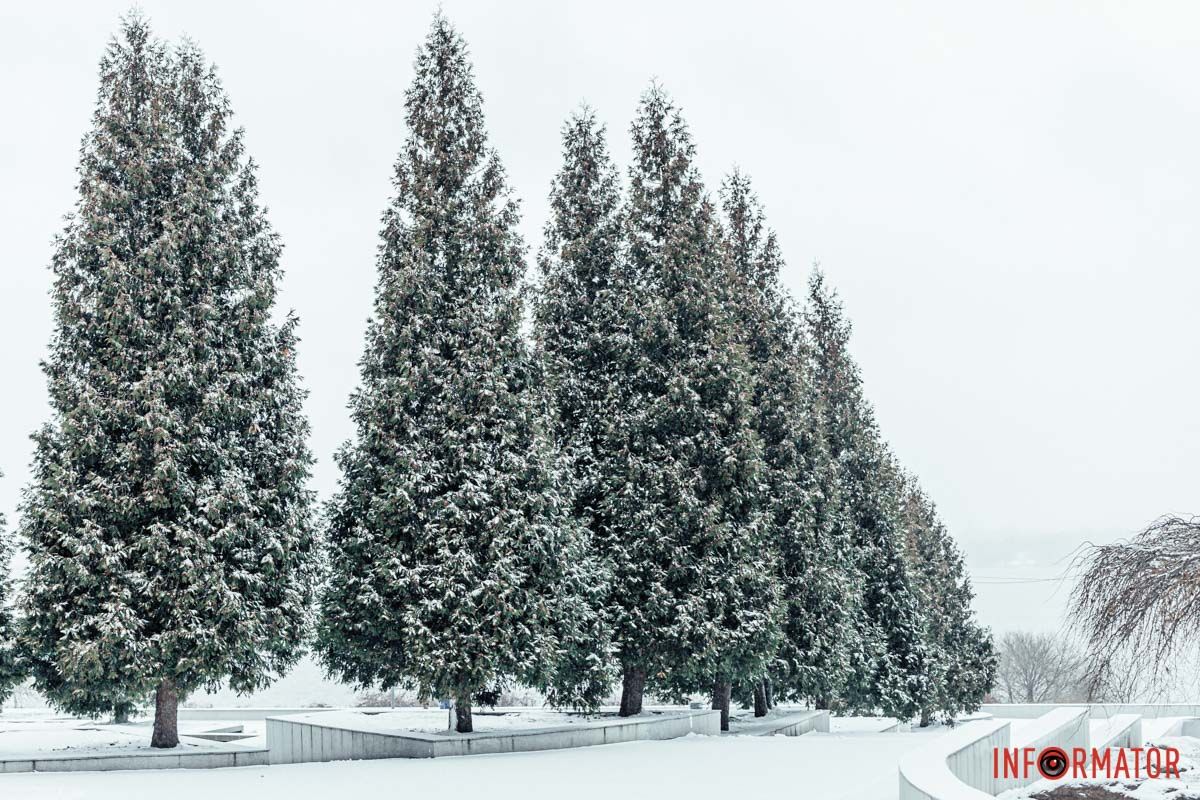 Коли кожен куток парку виглядає, як малюнок з казки