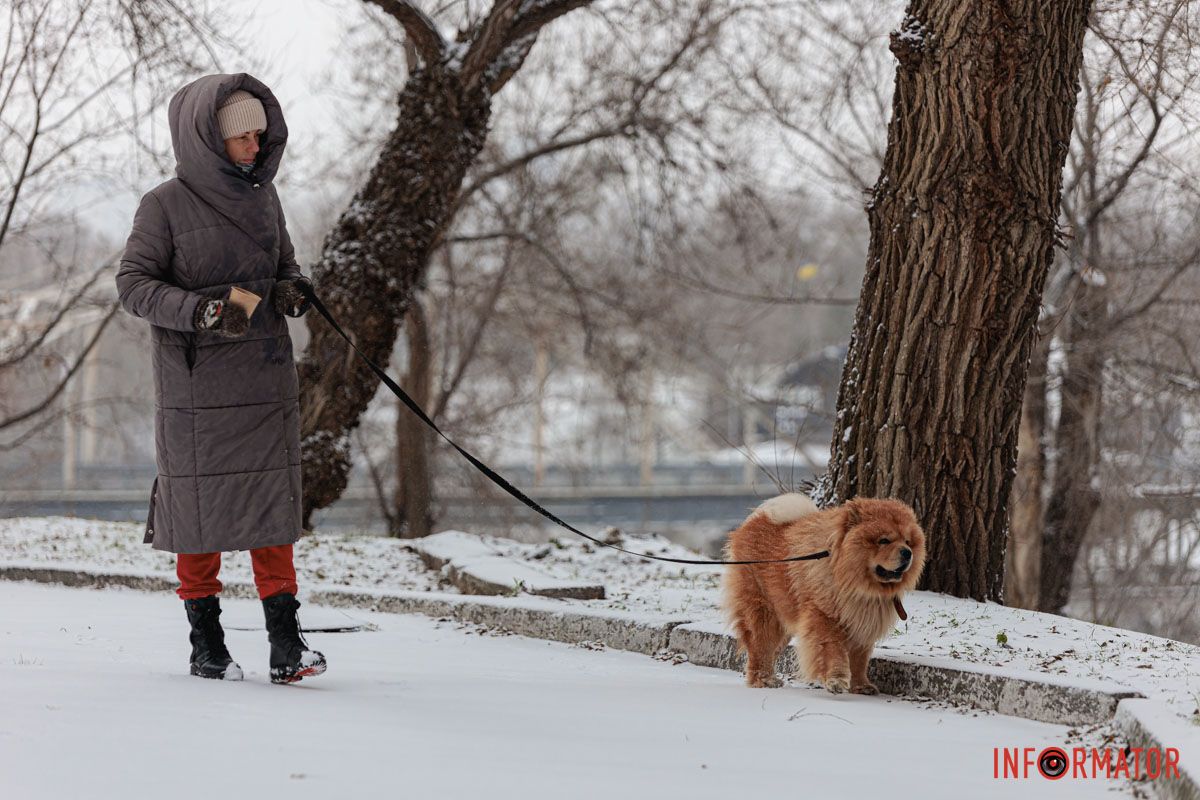 Прогулянка
