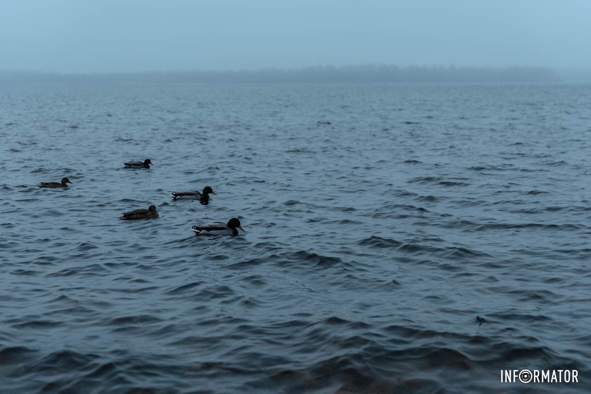 Туман создал загадочный образ города Туман создал загадочный образ города