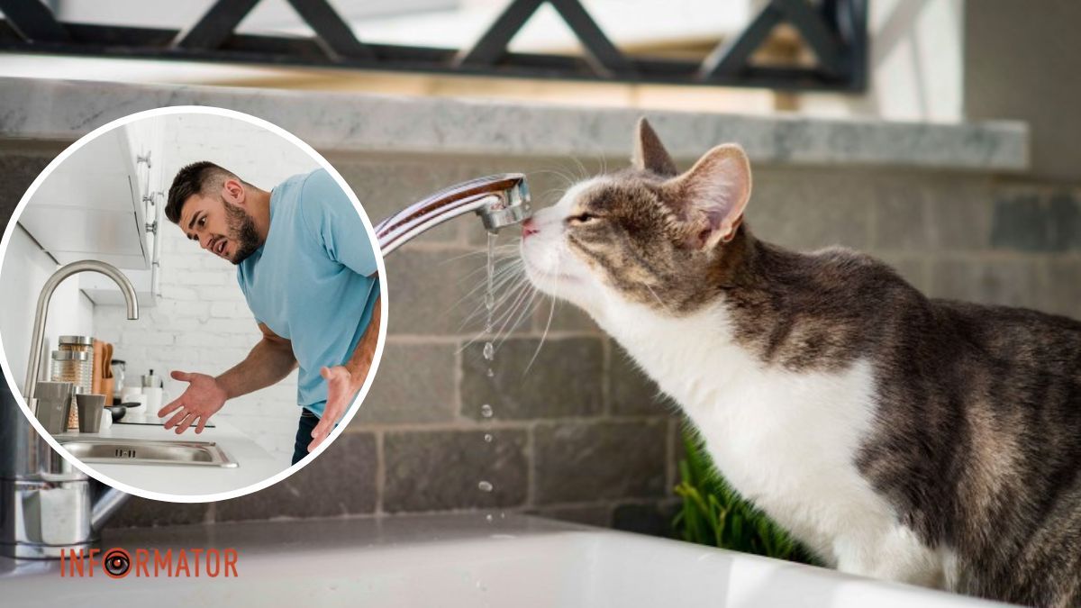 У Дніпрі на декількох вулицях немає води: адреси