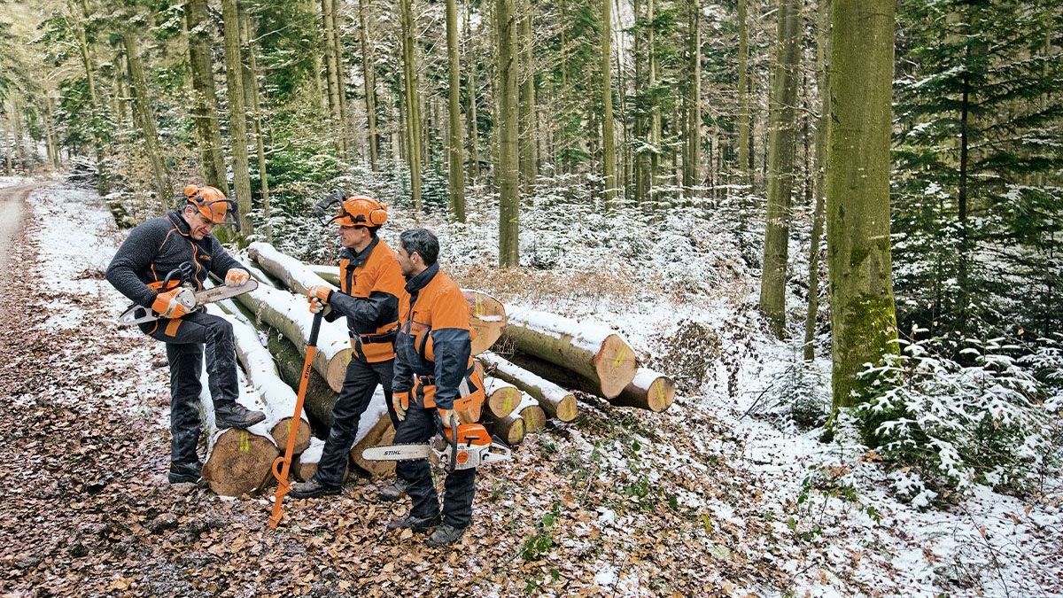 Stihl экономит деньги: цепные бензопилы по акционной цене!
