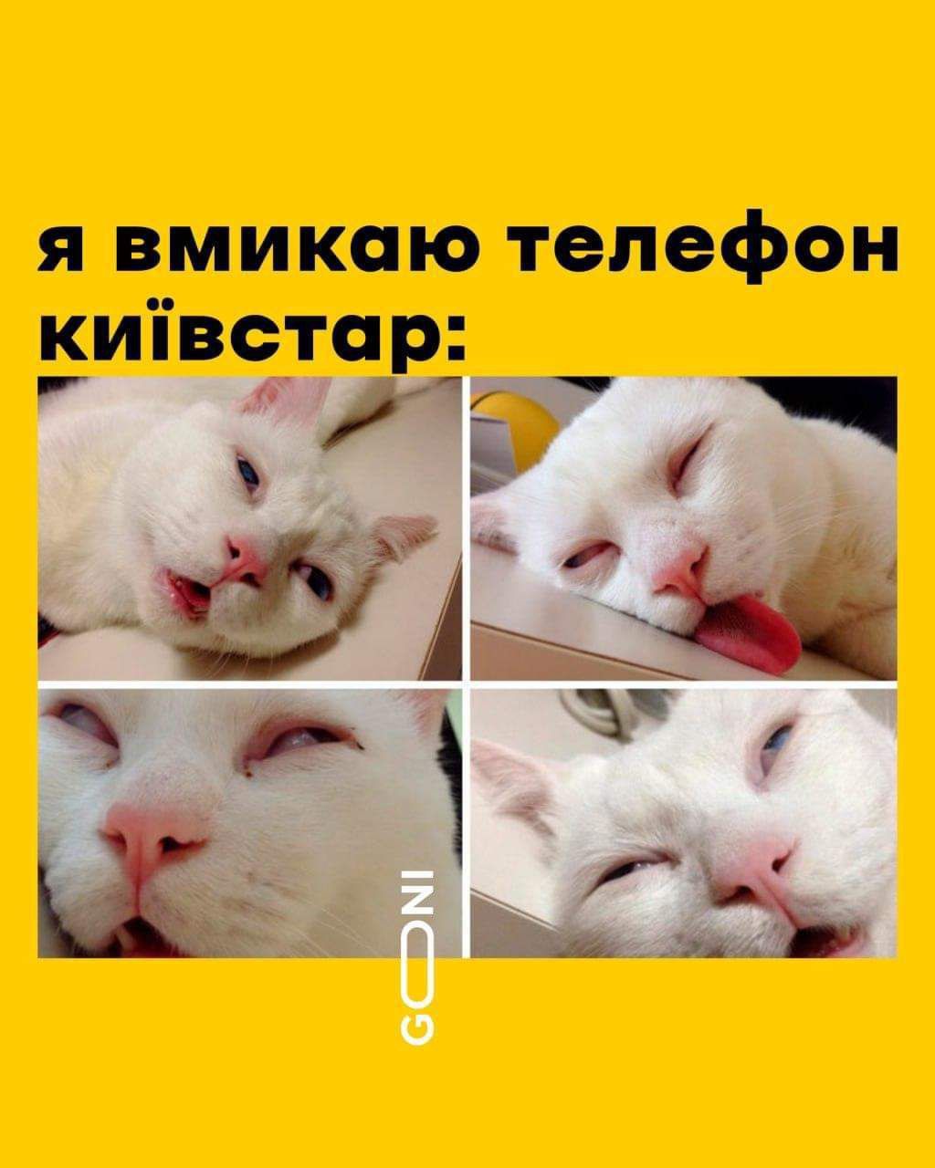 Народна фантазія розгулялася Народна фантазія розгулялася