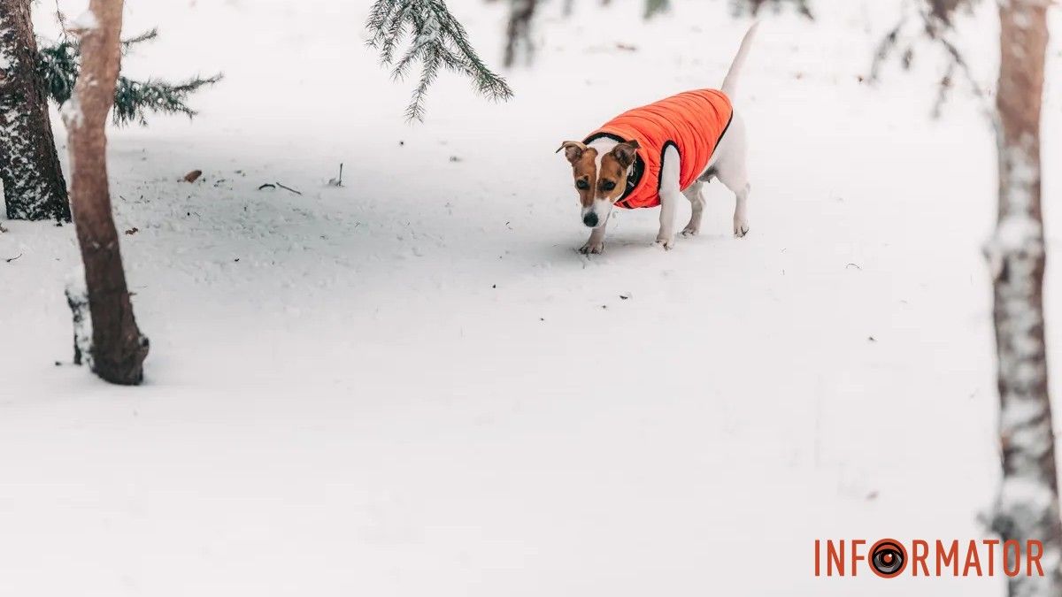 Невеликий сніг з дощем: якою буде погода у Дніпрі 13 грудня