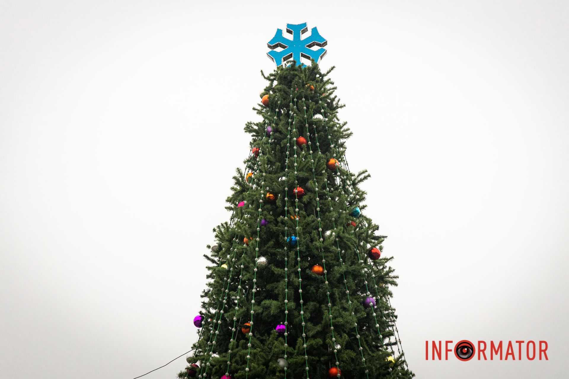 Надеемся, что этот Новый год станет для нас победным Надеемся, что этот Новый год станет для нас победным