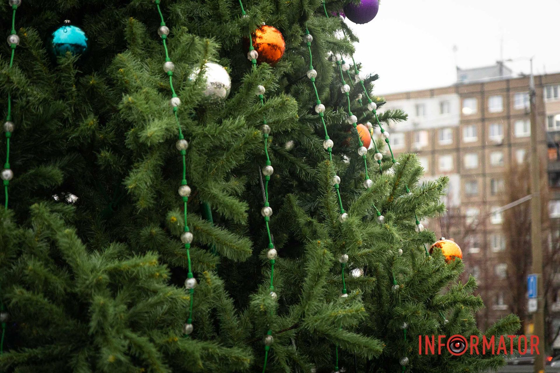 Фото - Максим Якушев Фото - Максим Якушев