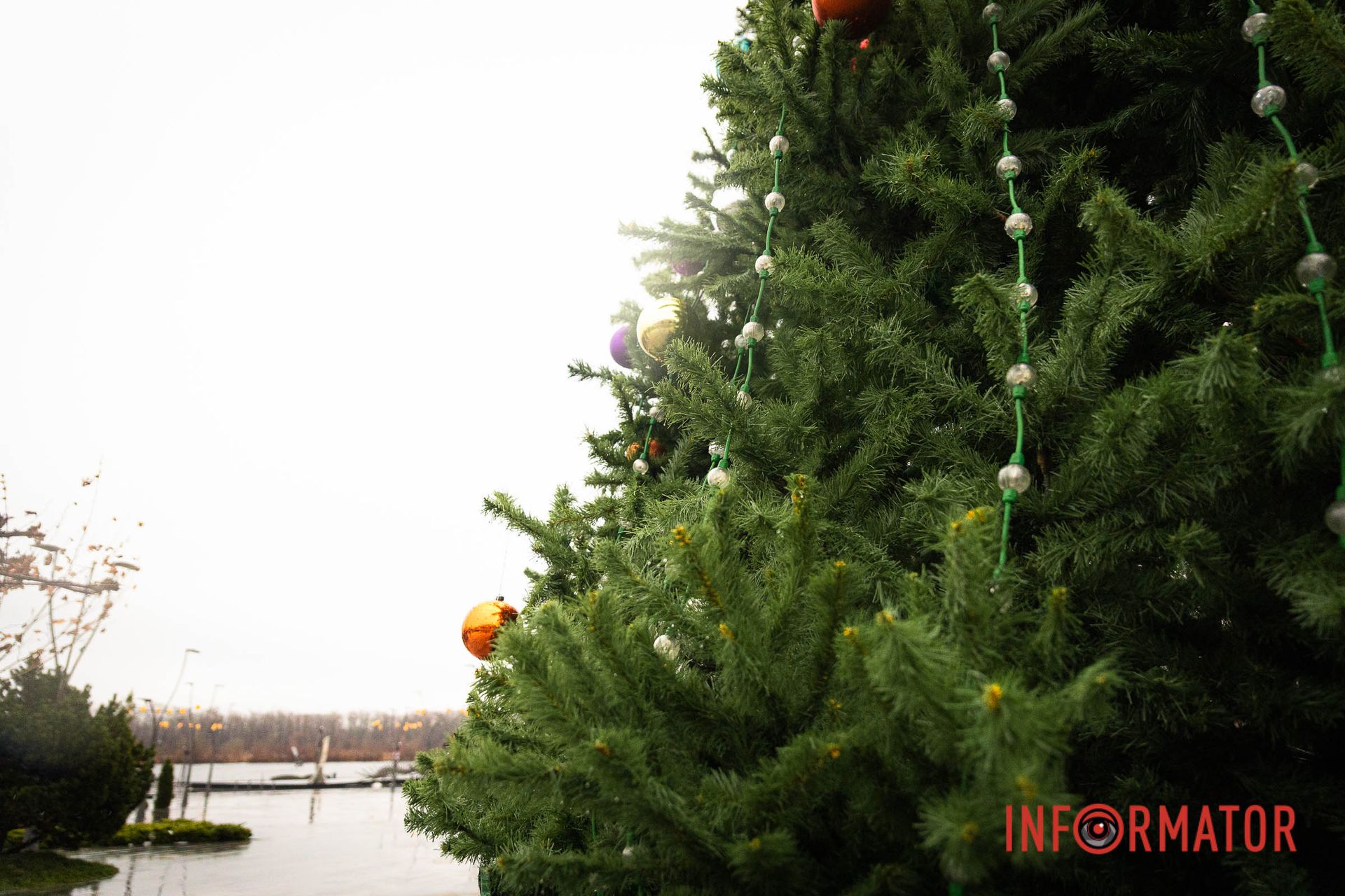 Праздник, объединяющий семьи Праздник, объединяющий семьи