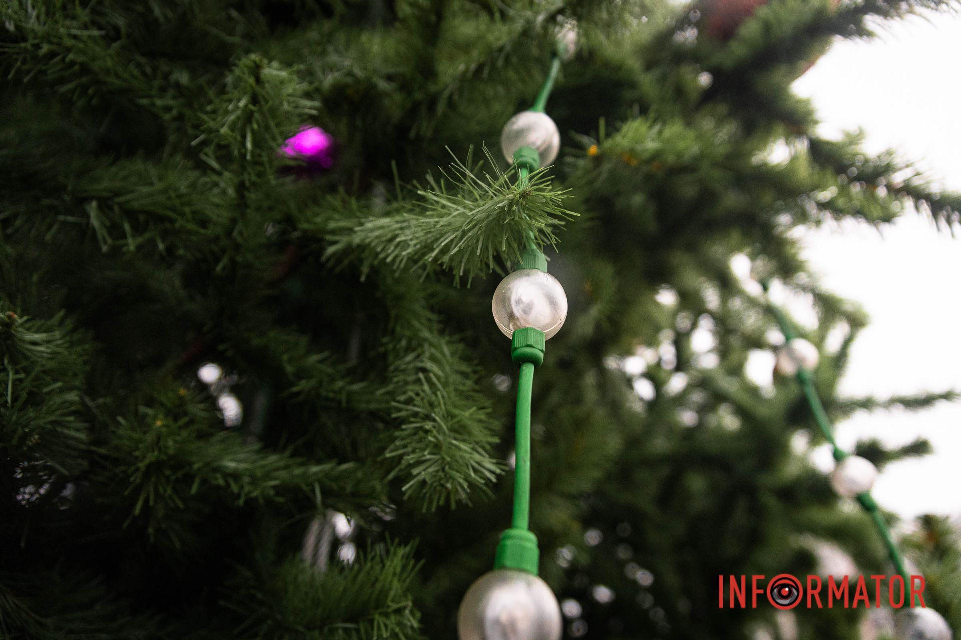 Новогодний наряд елок Новогодний наряд елок