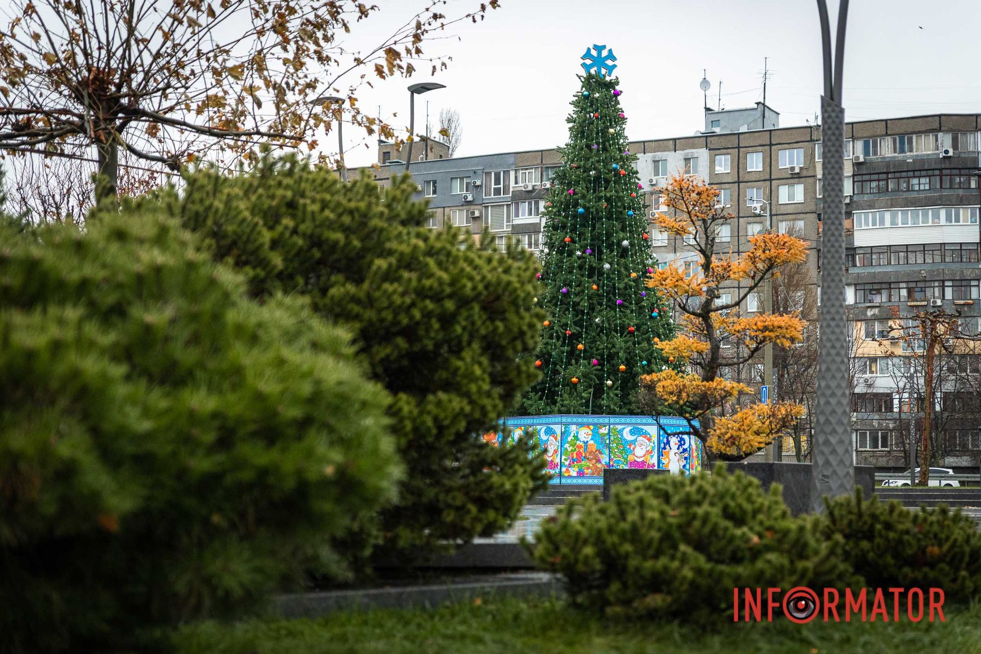 Елку установили на входе в сквер Елку установили на входе в сквер