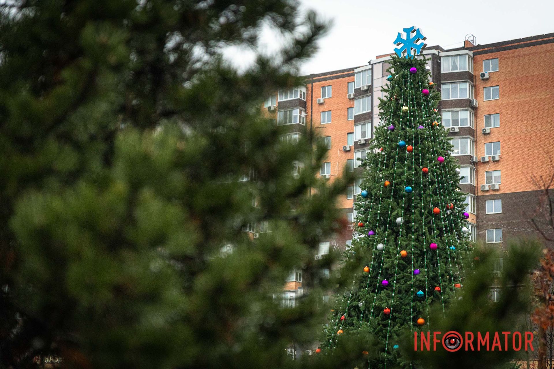 Новогодняя красавица появилась в сквере Новогодняя красавица появилась в сквере