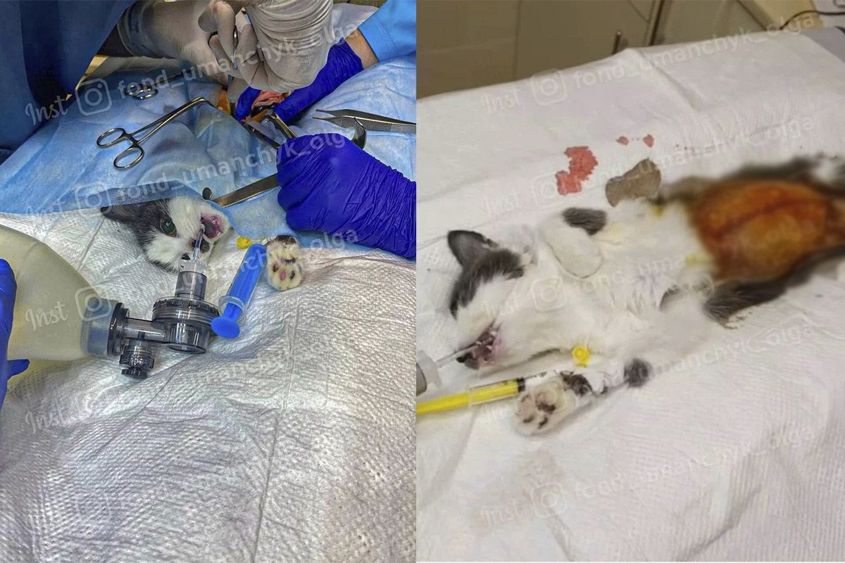 Врачи спасают маленькую Бусинку Врачи спасают маленькую Бусинку