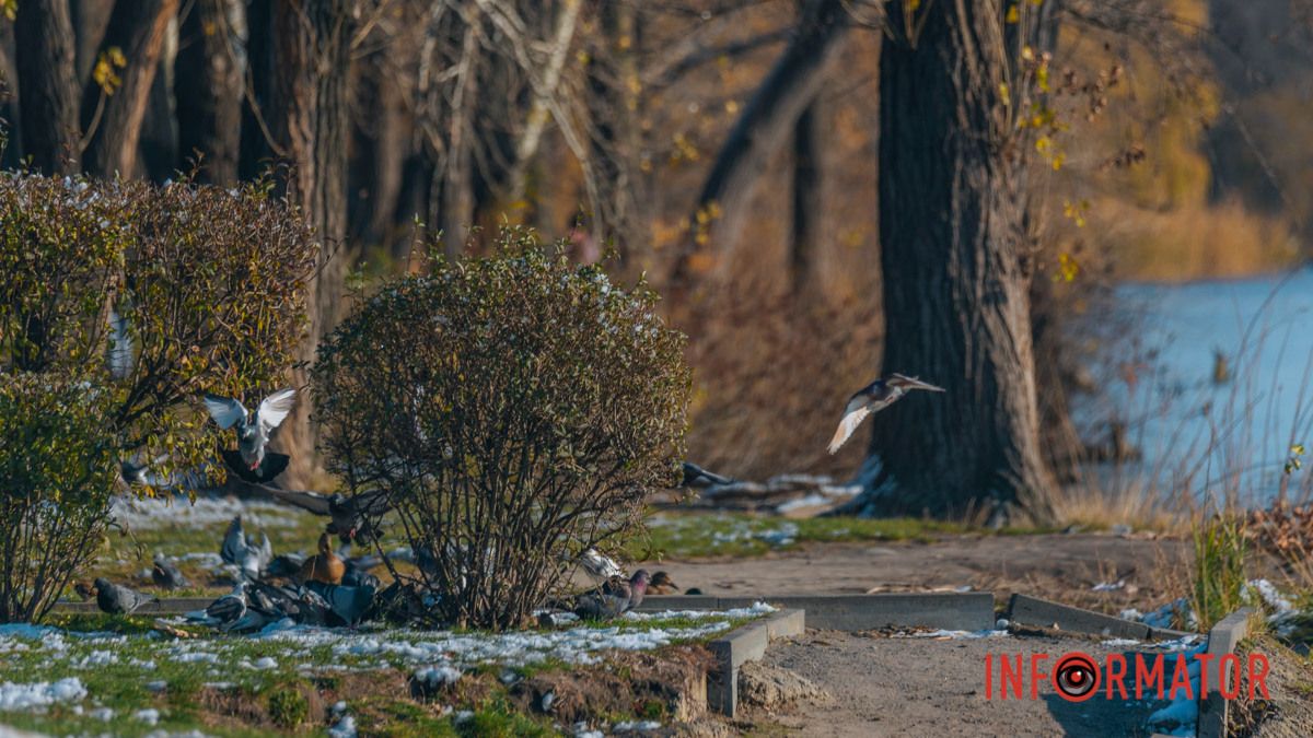 У Дніпрі буде хмарно з проясненнями: прогноз погоди на 16 грудня