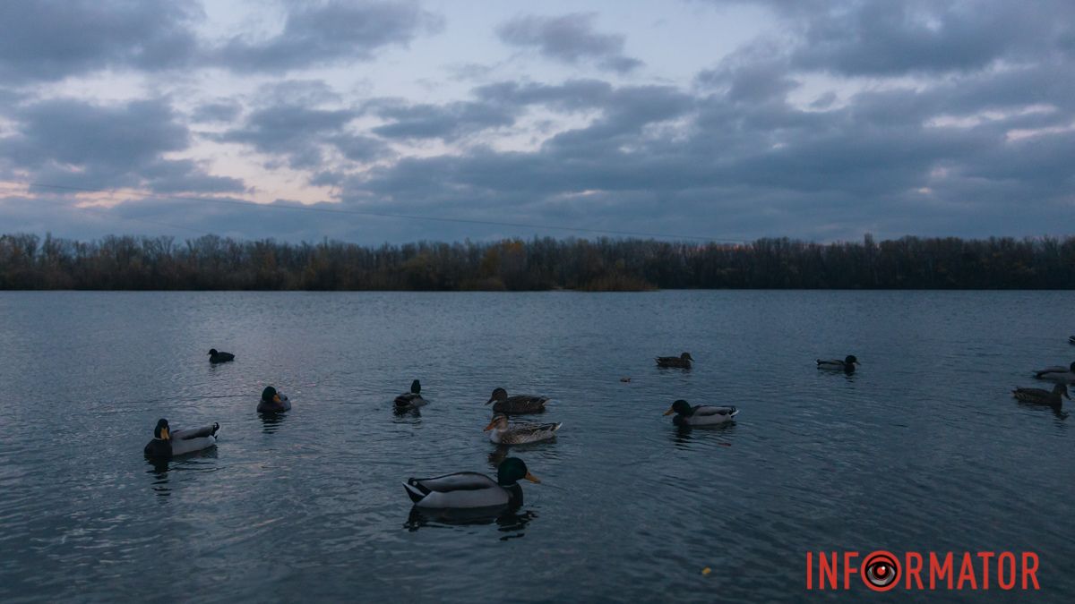 Погода на 19 грудня: у Дніпрі буде похмуро й без опадів