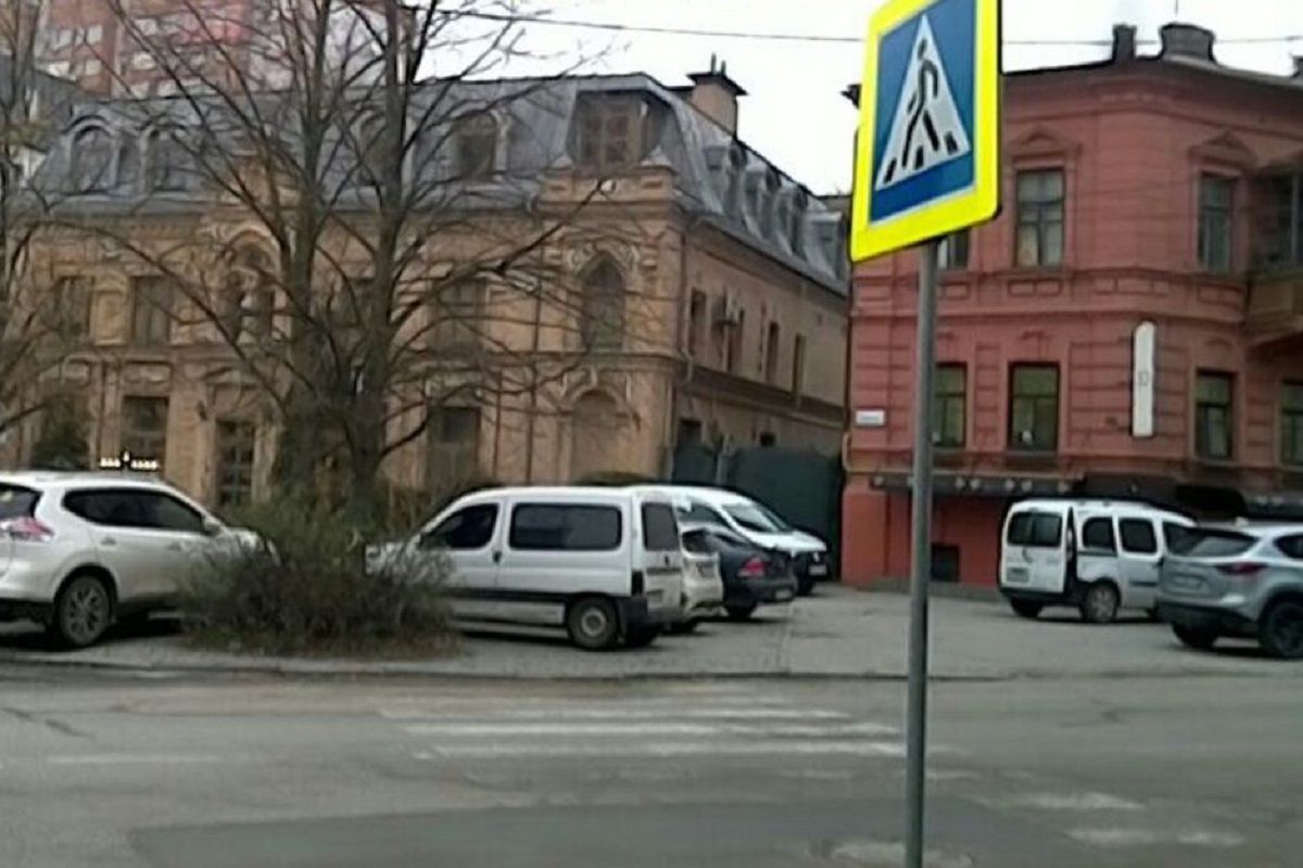 У деревца У деревца