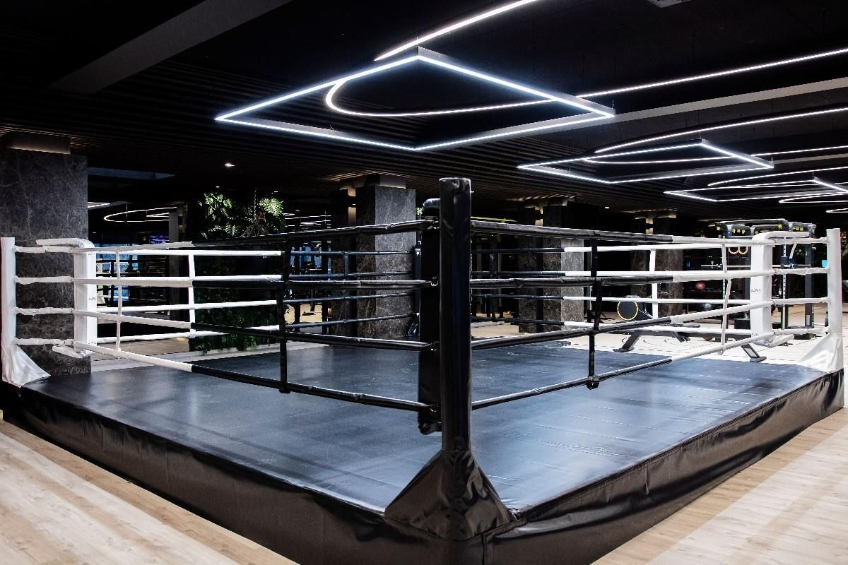 Профессиональный ринг