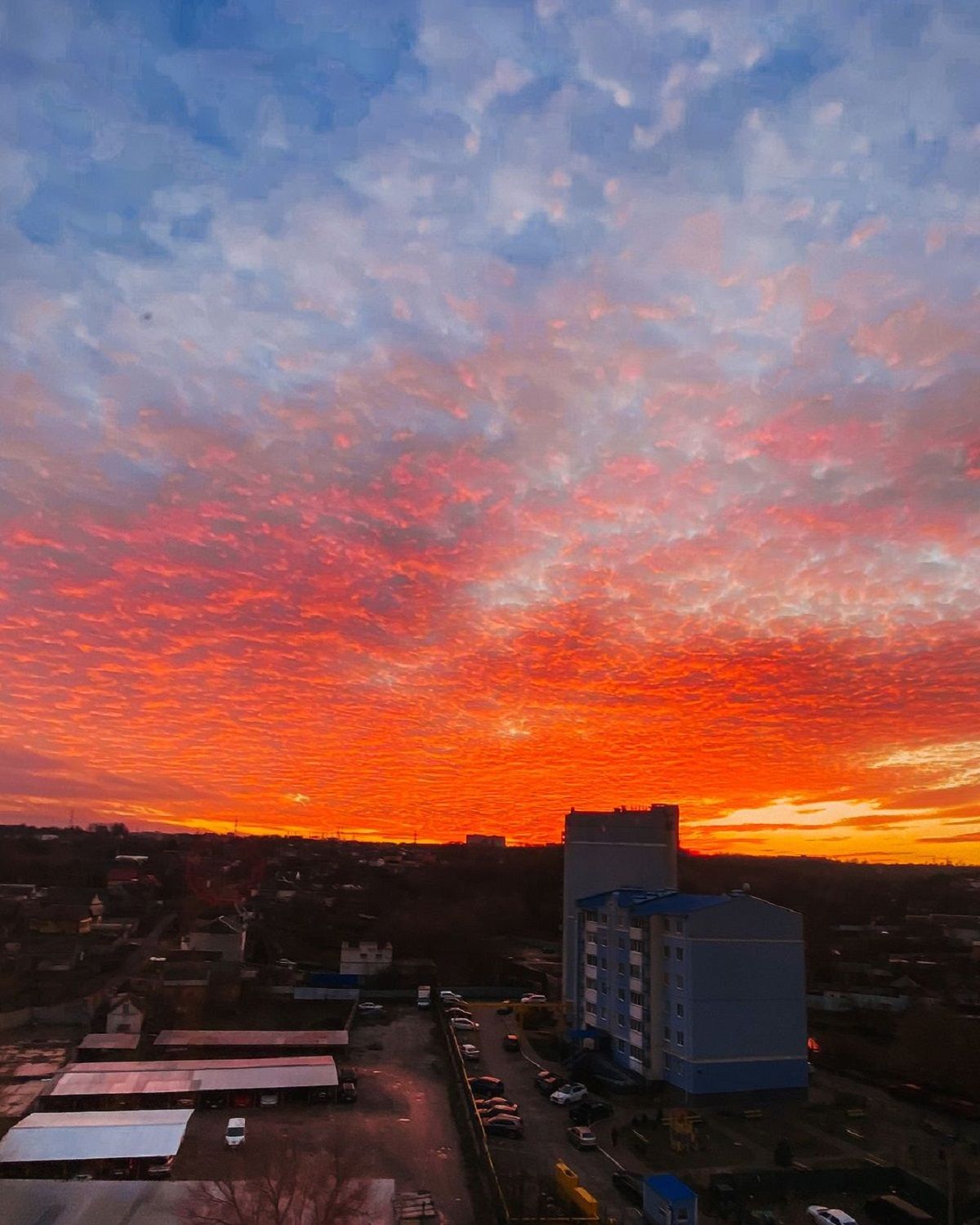 Фото: @hamster_dp_ua