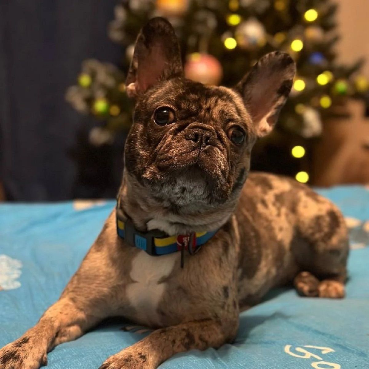 Фото: @mamaluba_d