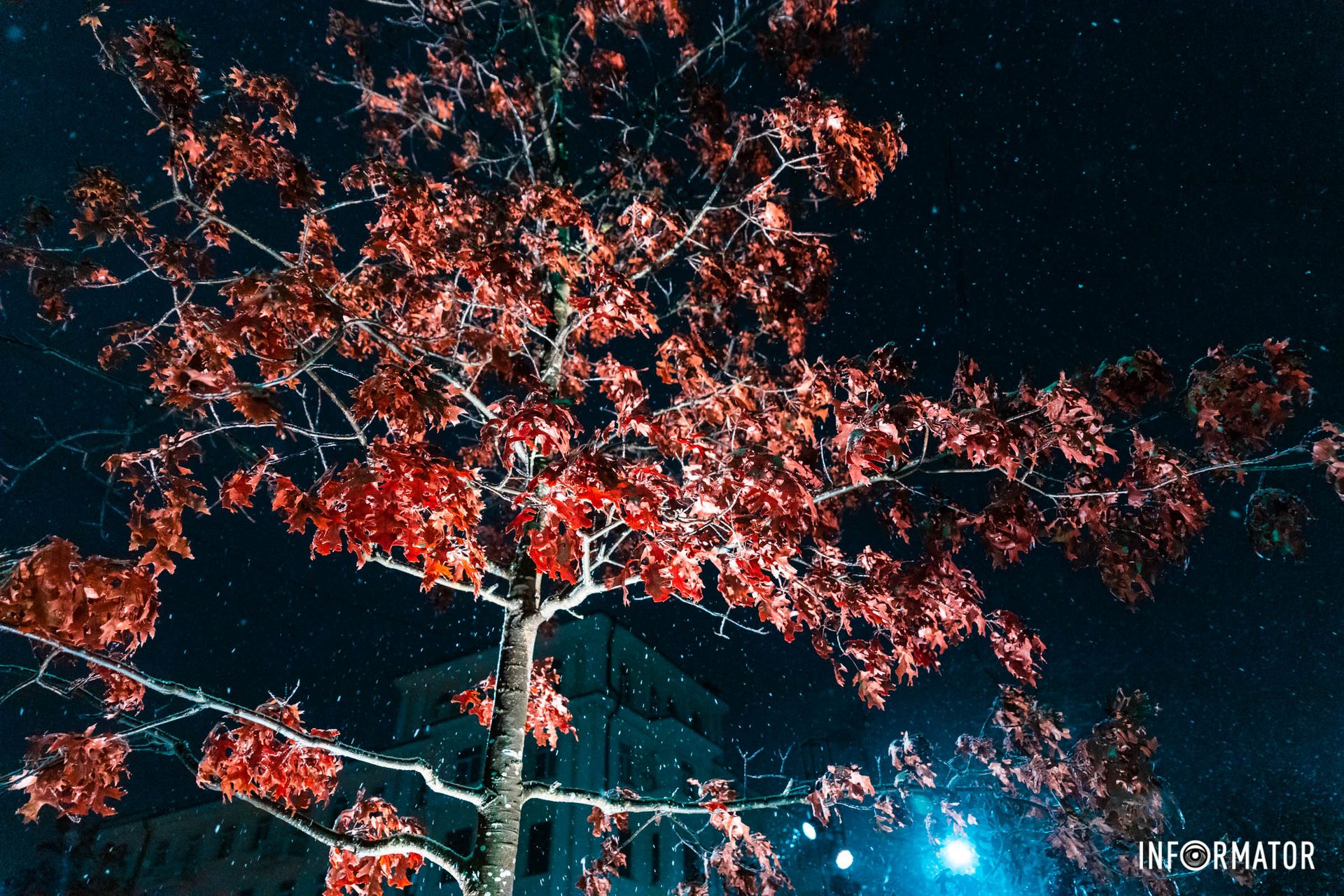 Зима во всей своей красоте Зима во всей своей красоте