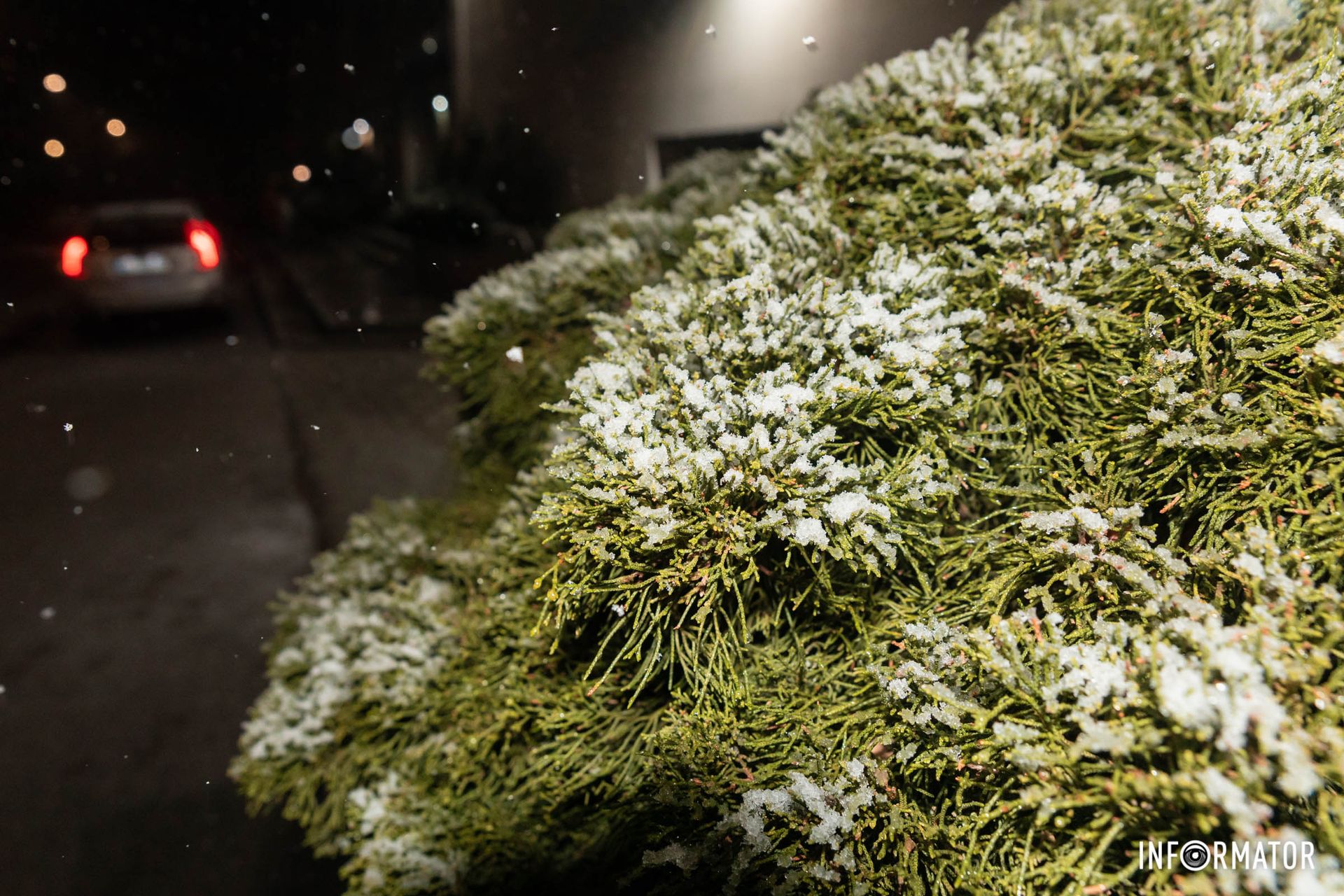 23 декабря в Днепре пошел снег 23 декабря в Днепре пошел снег