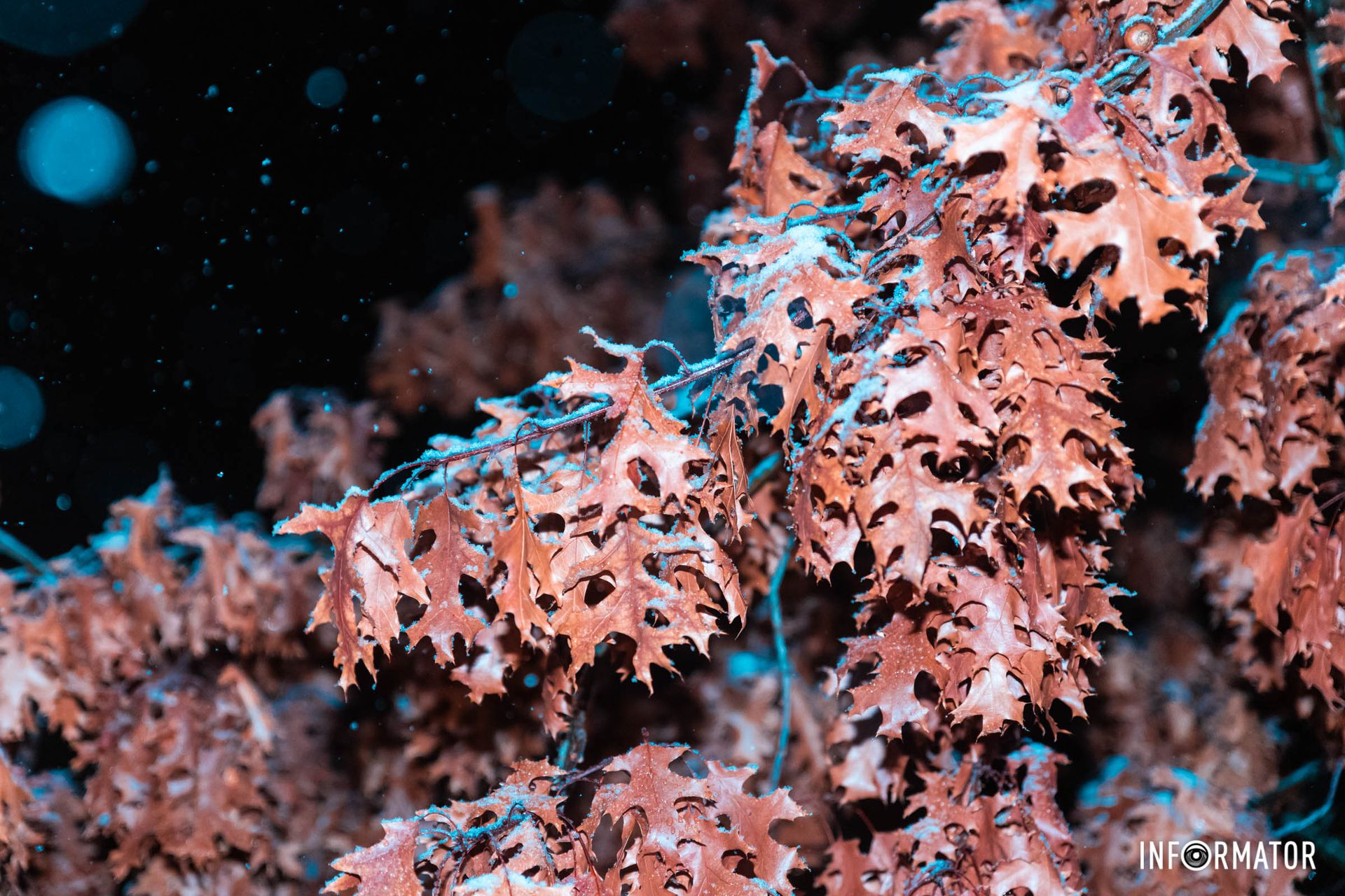 Рождество и снег дополняют друг друга Рождество и снег дополняют друг друга