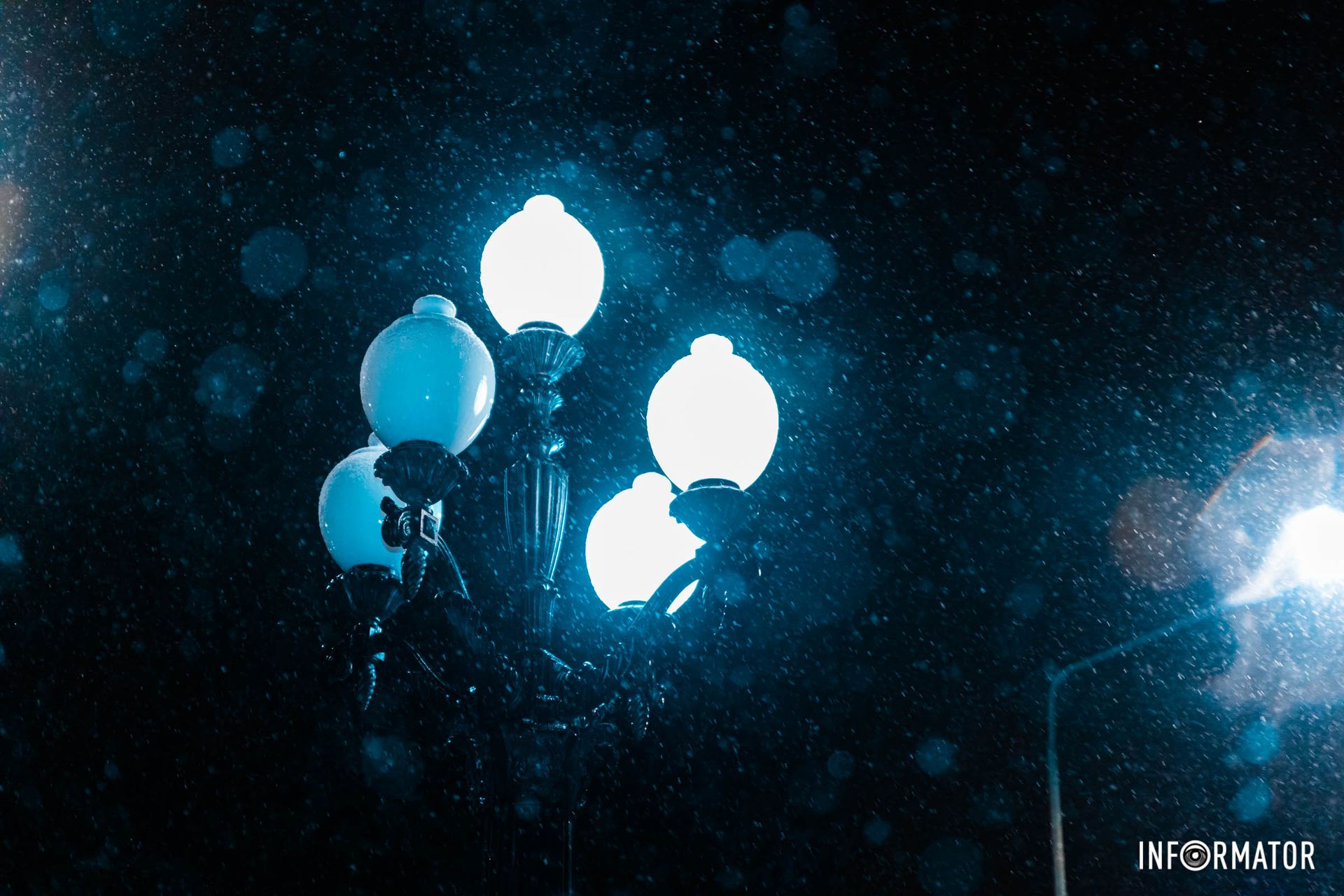 Свет в царстве тьмы Свет в царстве тьмы