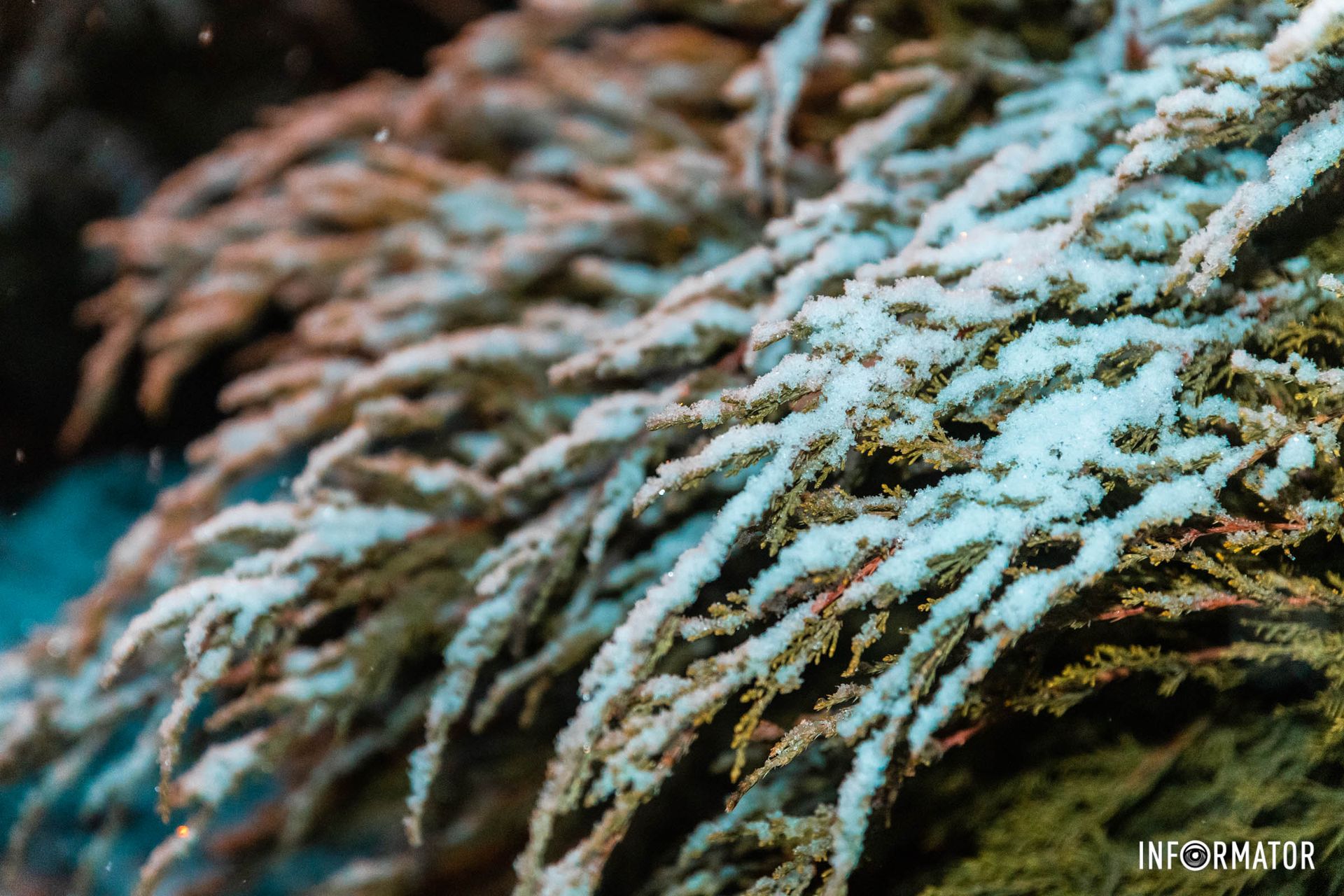 А вы любите зиму? А вы любите зиму?