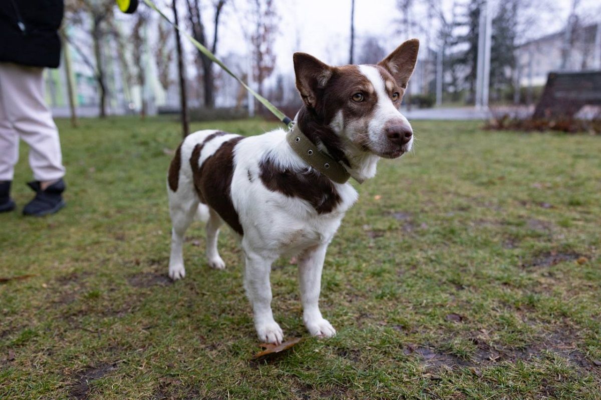 Глаза выдают джентльмена