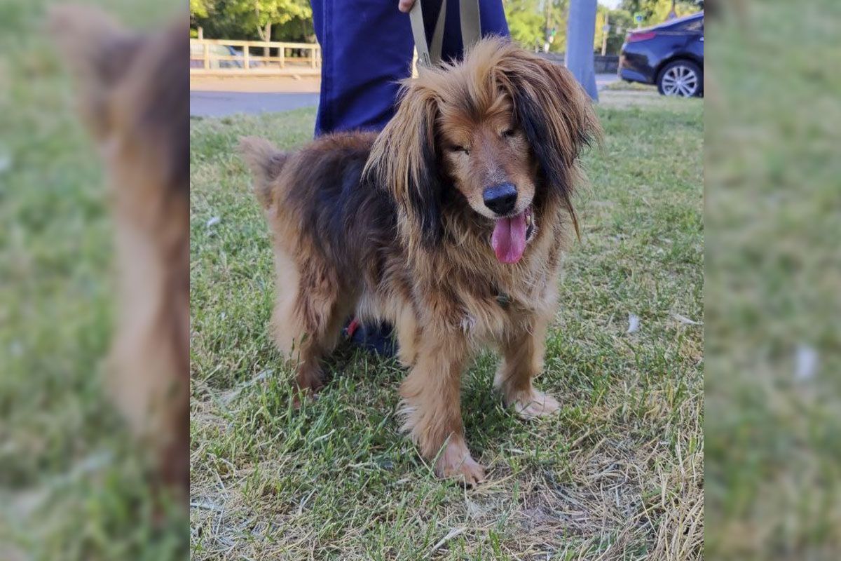 У него была трудная судьба