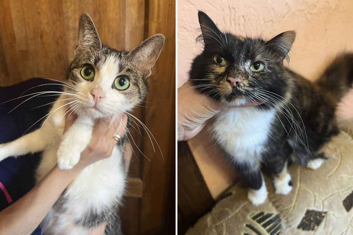 Подаруйте їм тепло та піклування