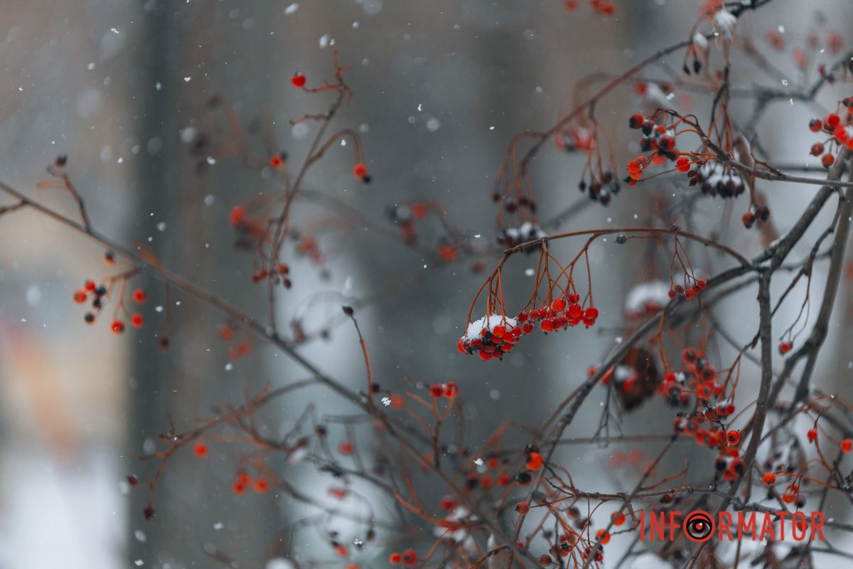 Біле та червоне