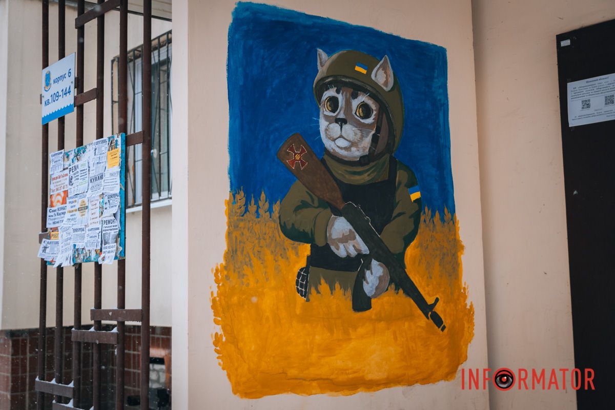 Бойовий кіт