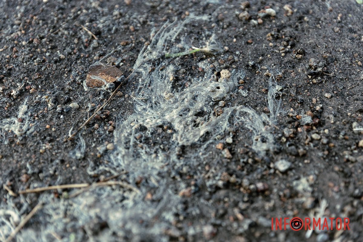 Виглядає огидно