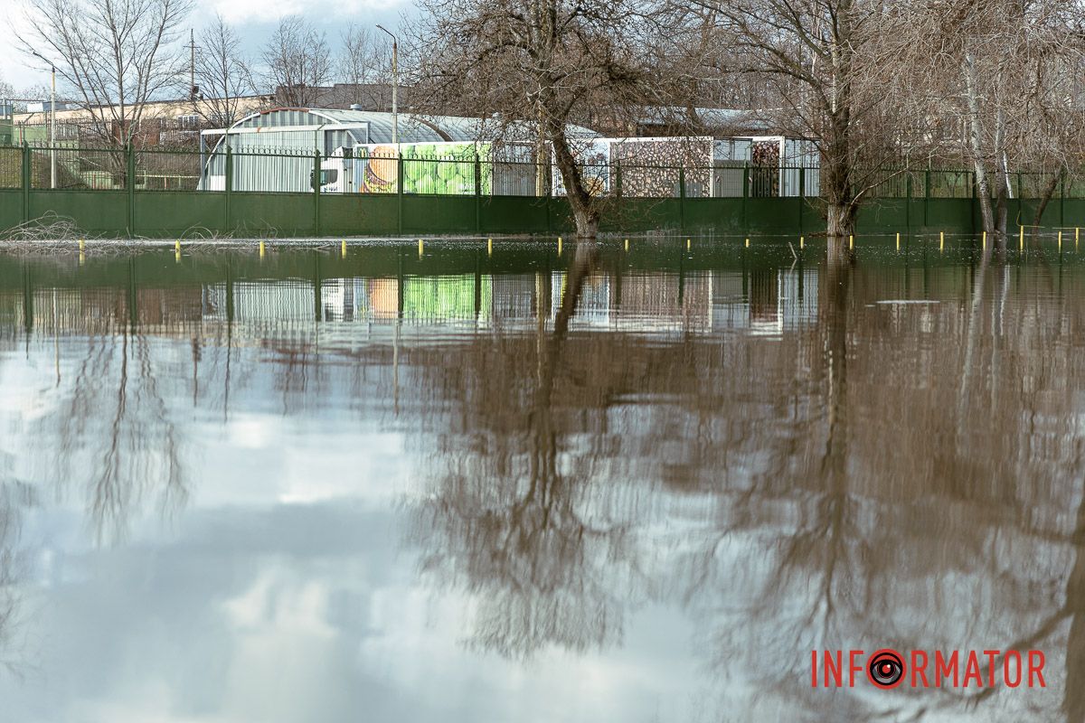 Затоплені дерева