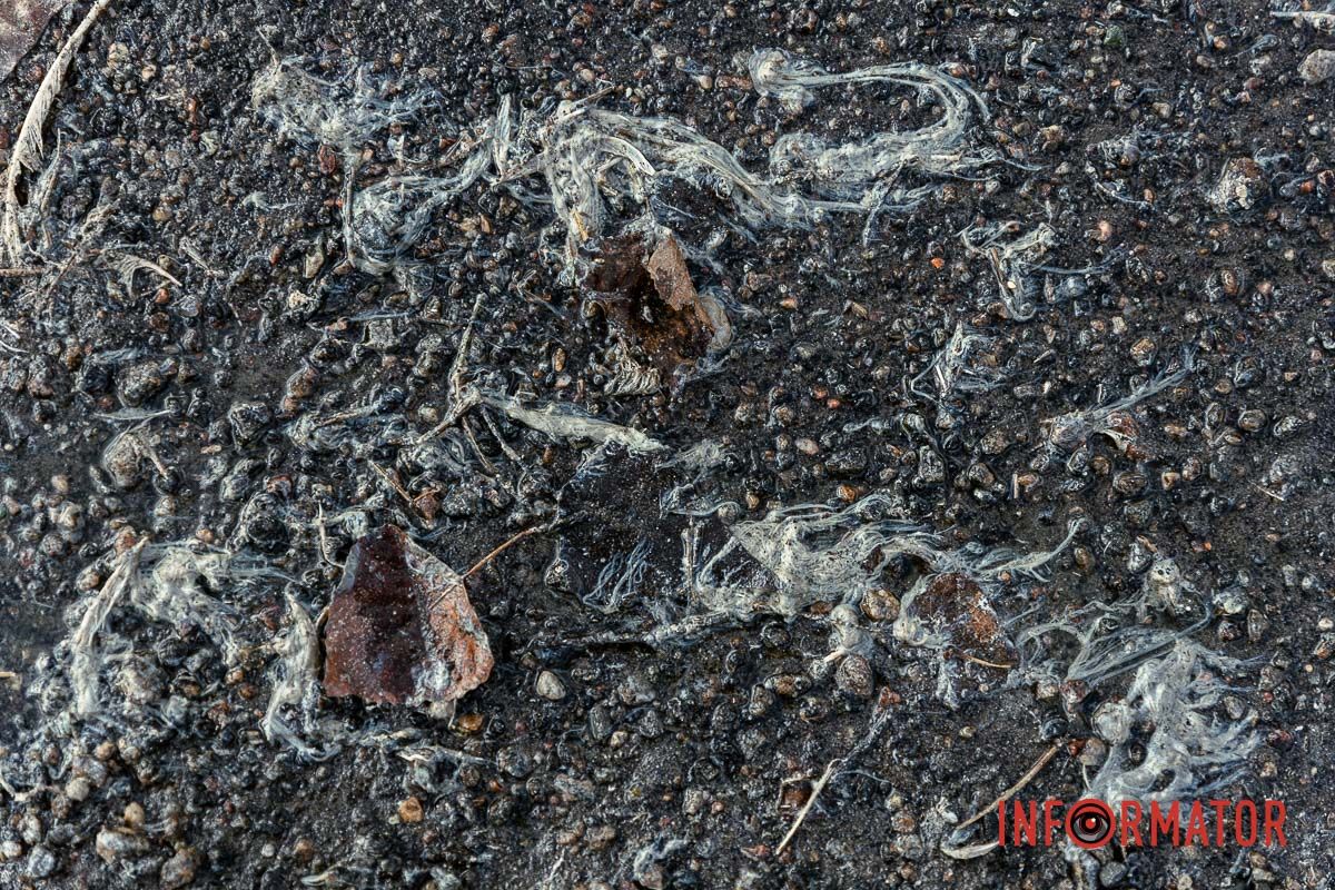 На жаль, фото та відео не передає всього «аромату»