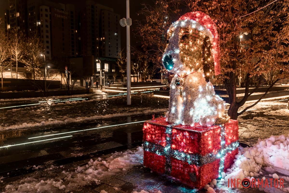 Песик теж вбрався до свята