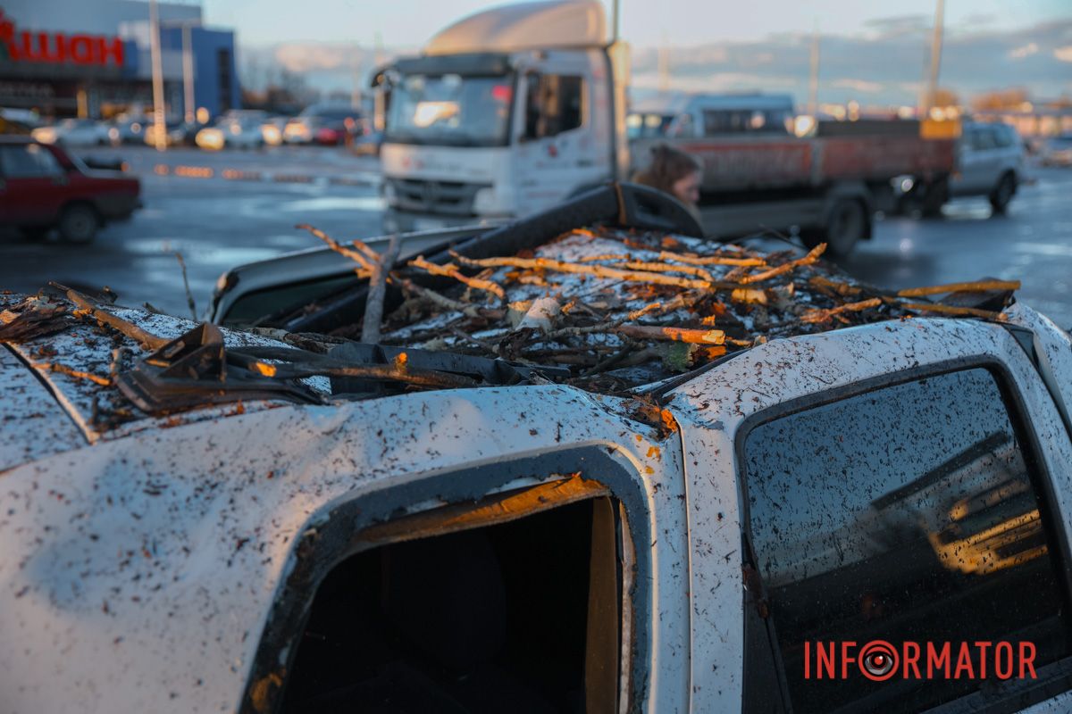 Дерево упало около 14:00