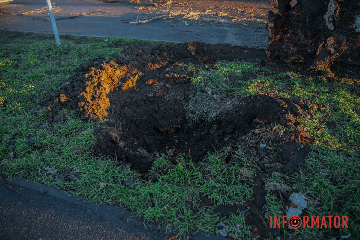 Дерево вырвало с корнями