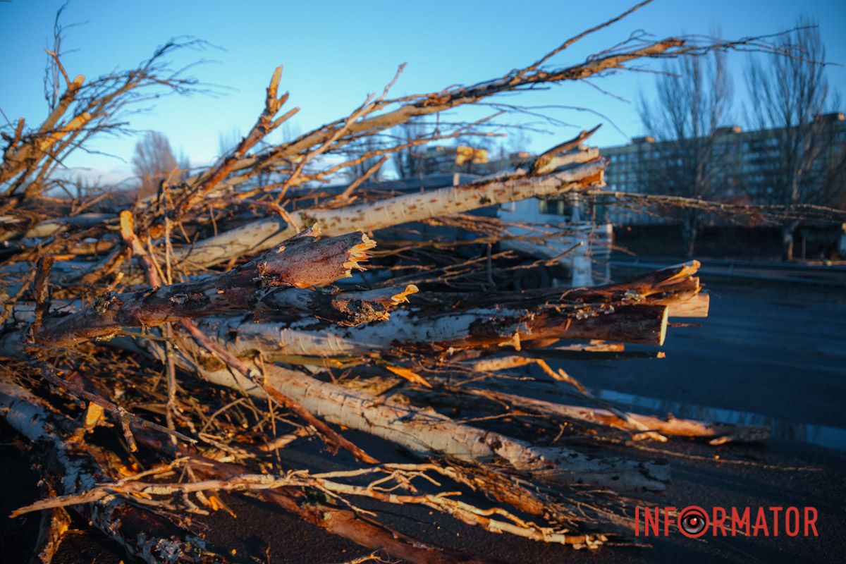По состоянию на 15:10 дерево и автомобиль оттащили с места падения