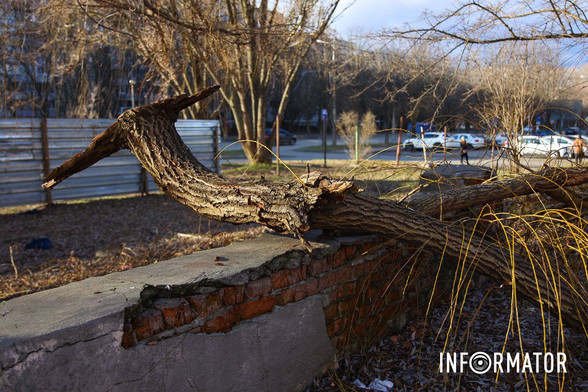 Срубленные деревья