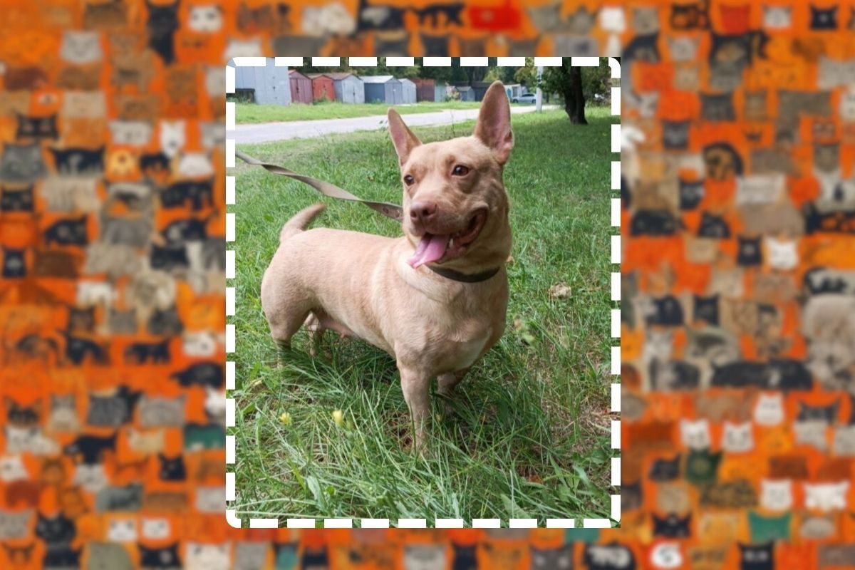 Ее зовут Боня Ее зовут Боня