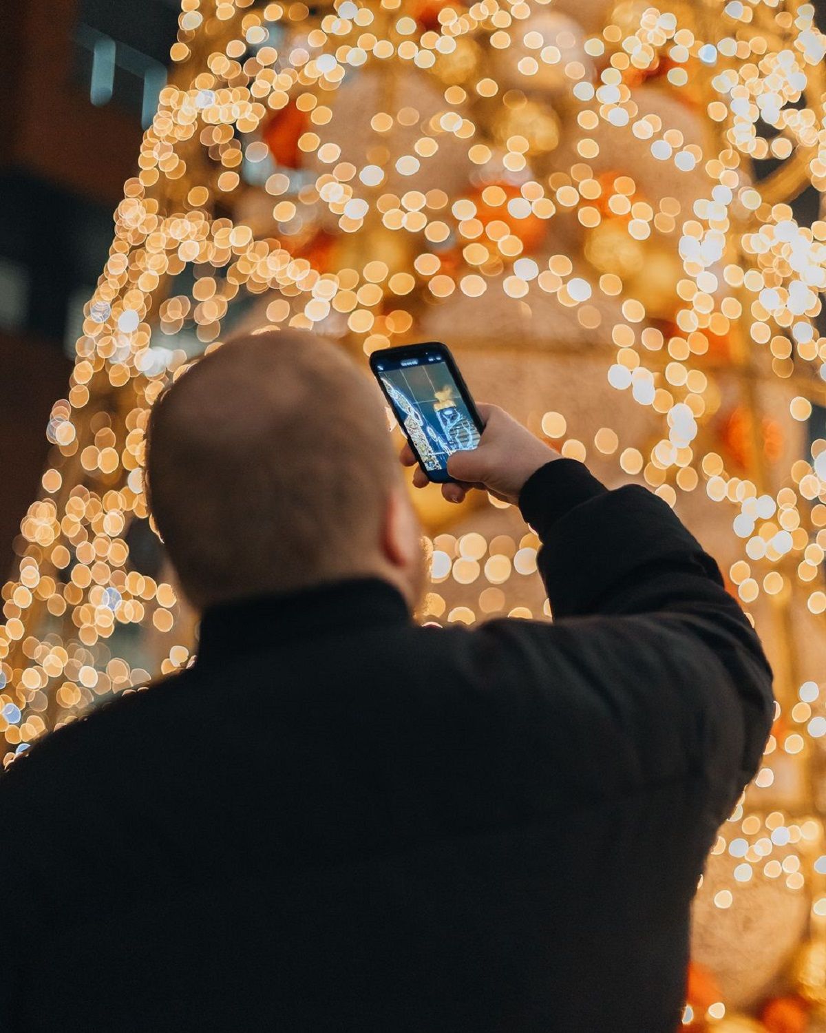 Фото: @hamster_dp_ua Фото: @hamster_dp_ua