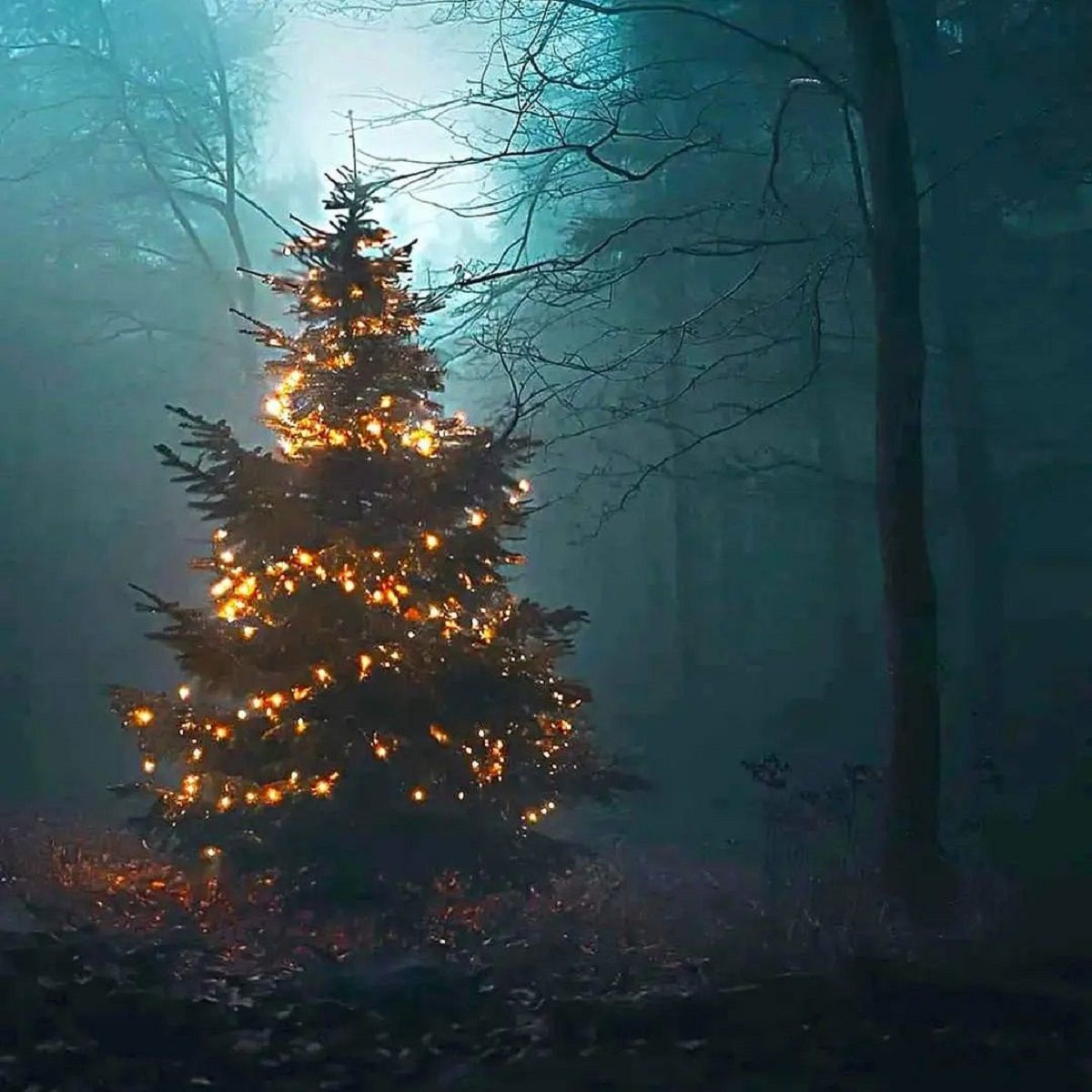 Фото: @semeniukim Фото: @semeniukim