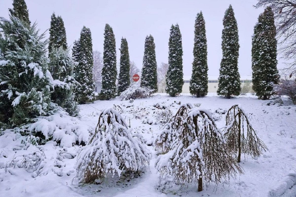 Фото: @lilia_dolgoli Фото: @lilia_dolgoli