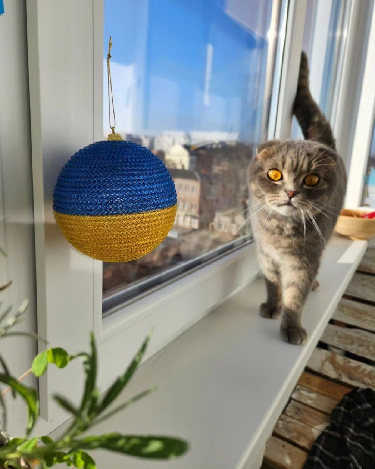 Фото: @stanislavvv Фото: @stanislavvv