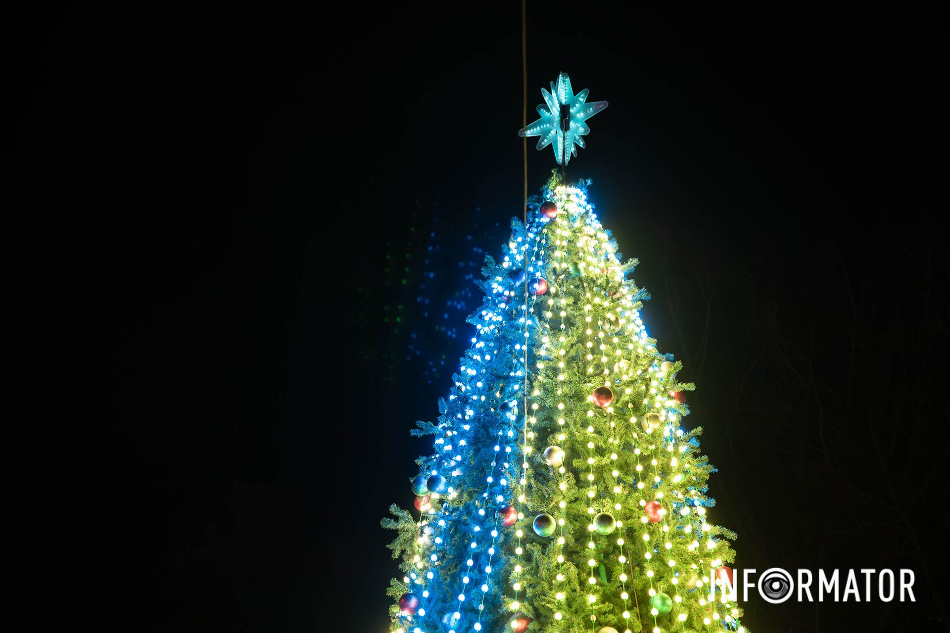 Тут ялинка сяє у всій красі Тут ялинка сяє у всій красі