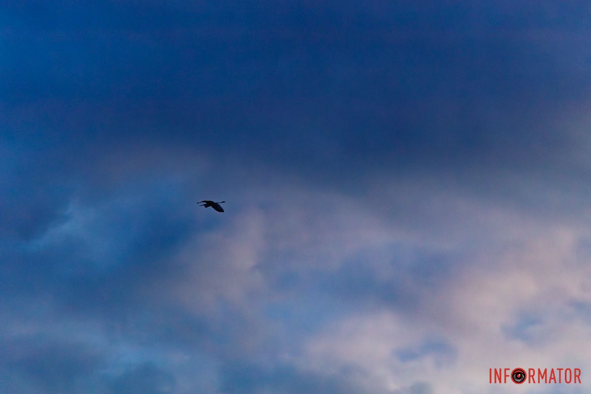 Пролетает в "сладкой вате" Пролетает в "сладкой вате"