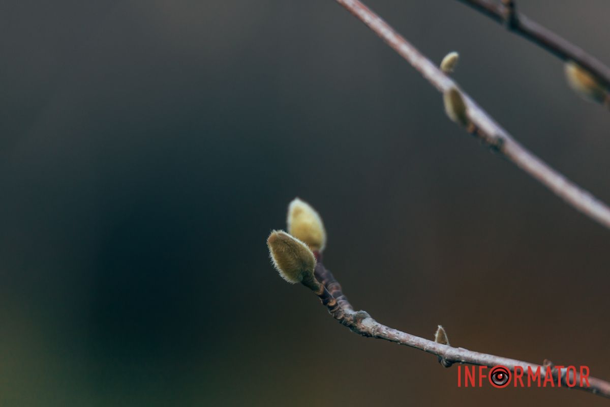 Природа завораживает