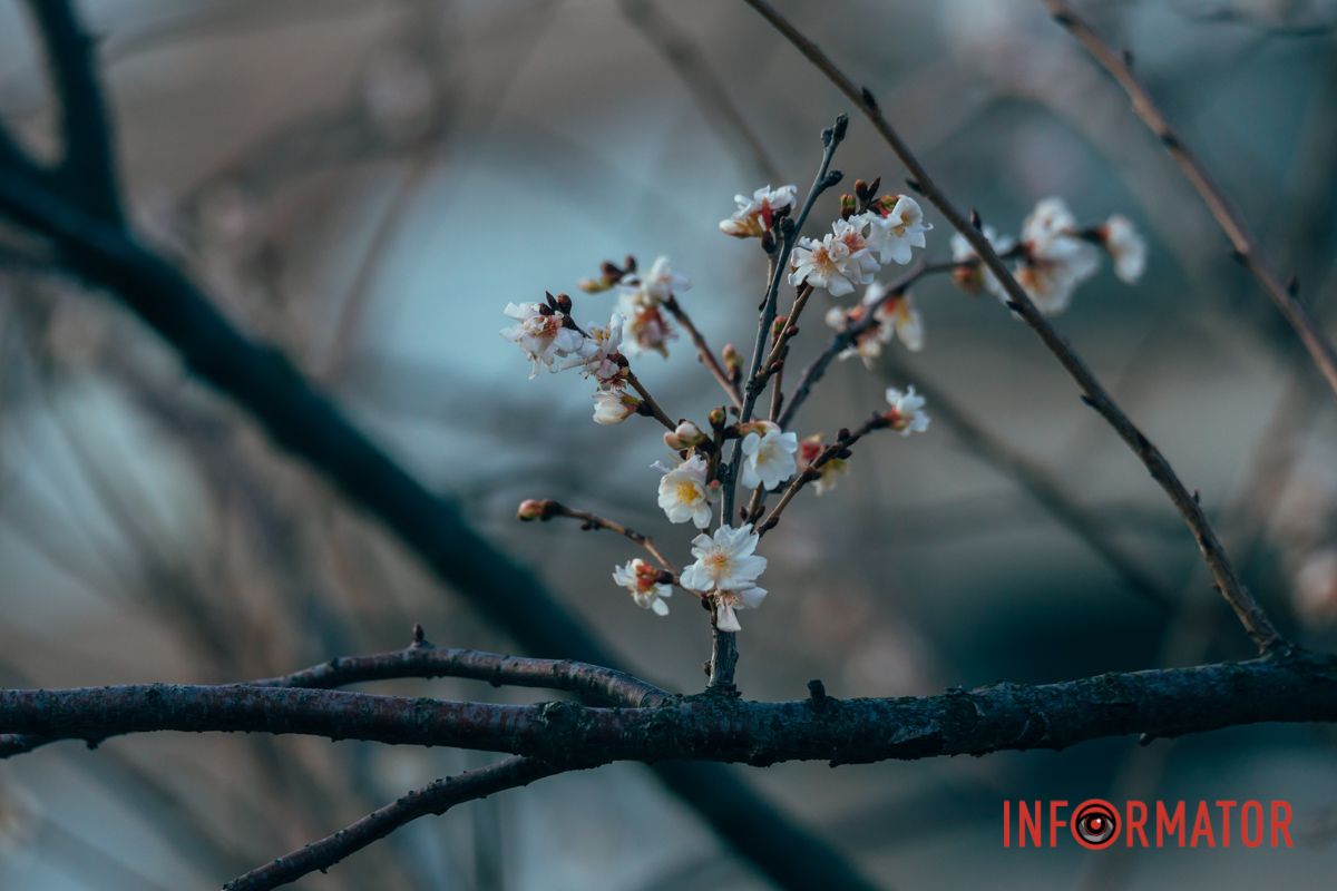 Верим в Победу!
