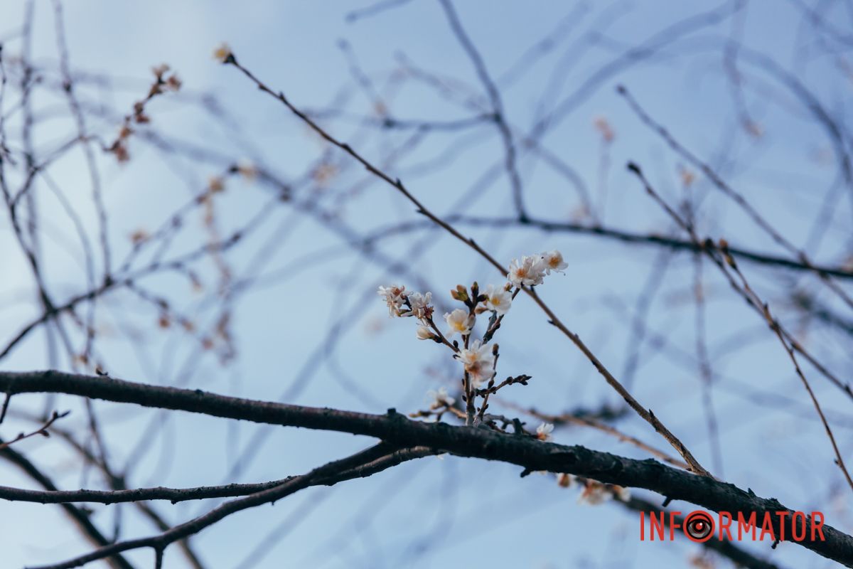 Голубое небо