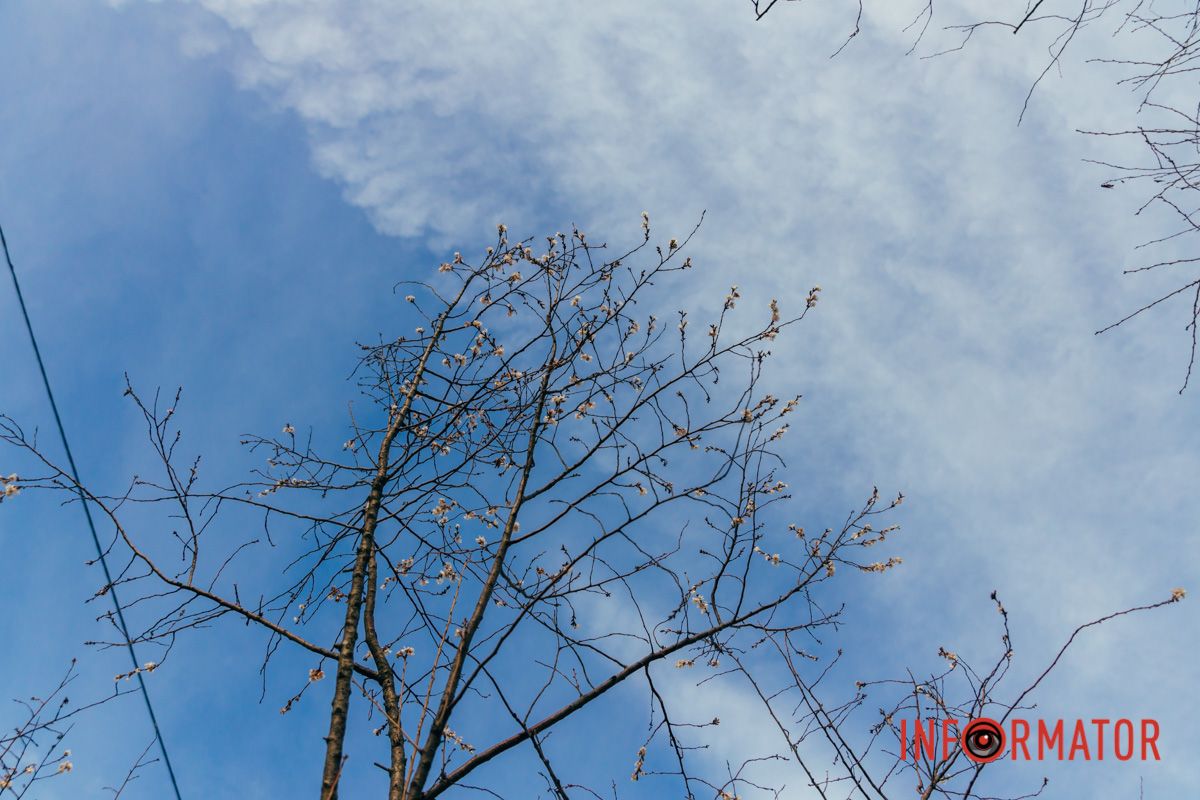 Замечаем красоту вокруг